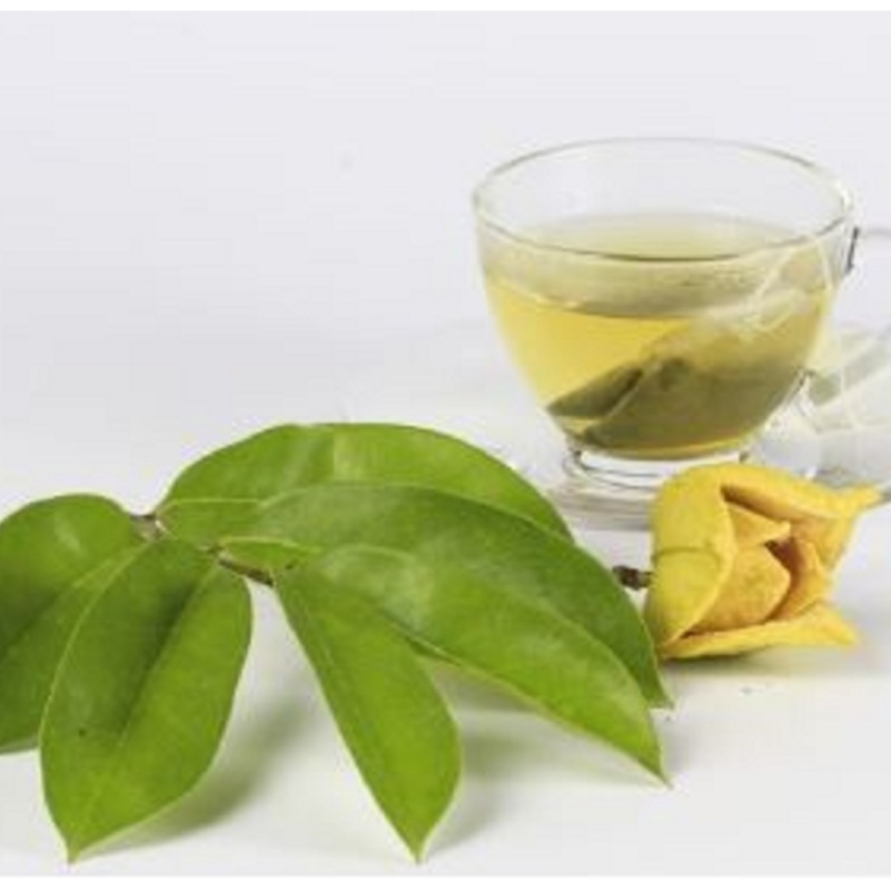 

Daun Sirsak Fresh 500gr – Daun Herbal Organik