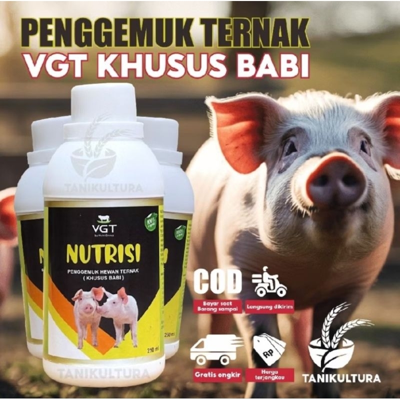 vitamin babi suplemen babi 250ml / nutrisi obat penggemuk babi /vitamin babi cepat besar / vitamin a