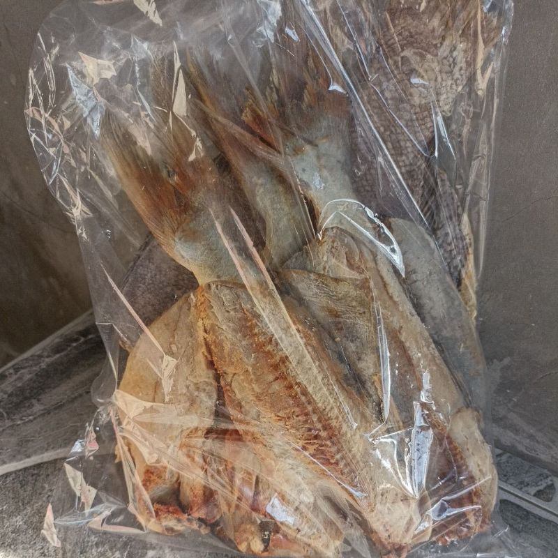 

Ikan asin lundu