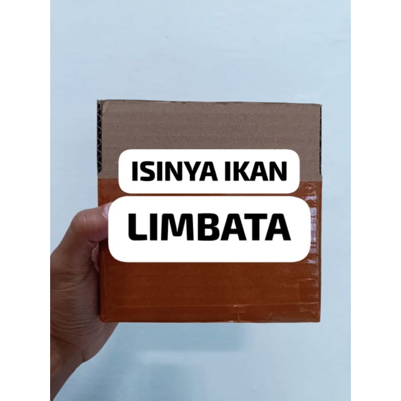 

kardus packing limbata