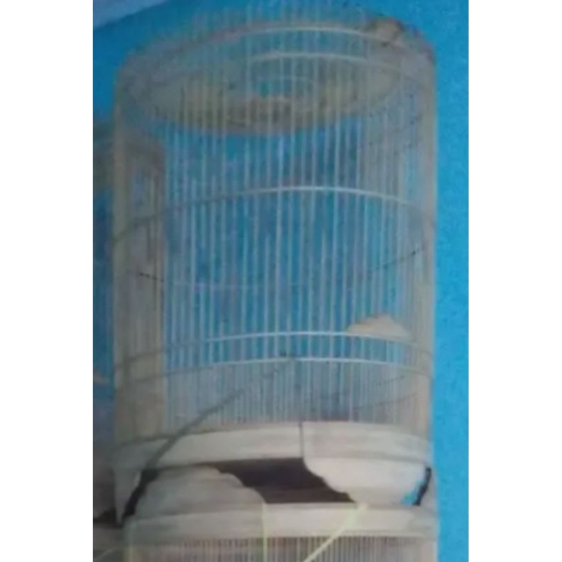 sangkar burung murai mentahan