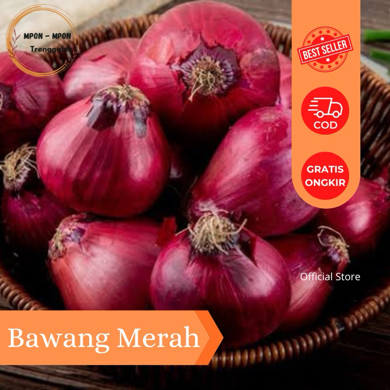 

Bawang Merah Sedang Kecil 1kg 500gr Trenggalek Kering Super Brambang