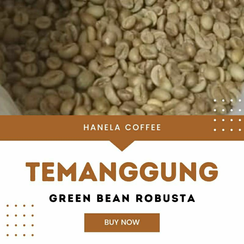 

GREEN BEAN BIJI KOPI ROBUSTA TEMANGGUNG HANELA COFFEE