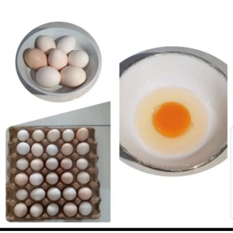

telor ayam kampung omega per tray fresh dari peternak