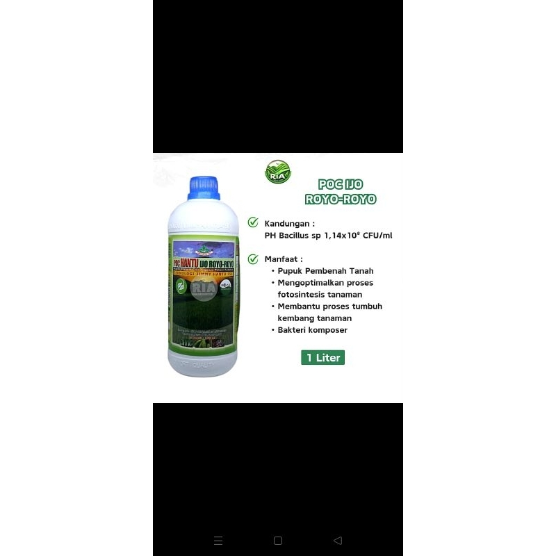 POC Ijo Royo-royo Jimmy Hantu