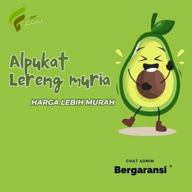 

ALPUKAT MENTEGA DARI LERENG MURIA