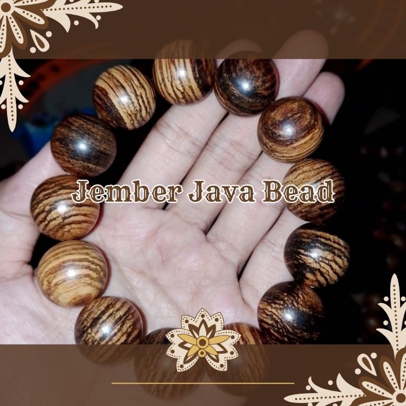 gelang gaharu zebra jumbo