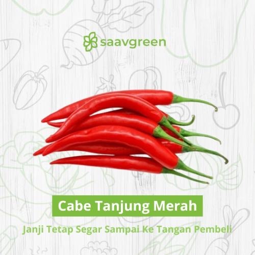

Cabe / Cabai Merah Besar - Tanjung Merah