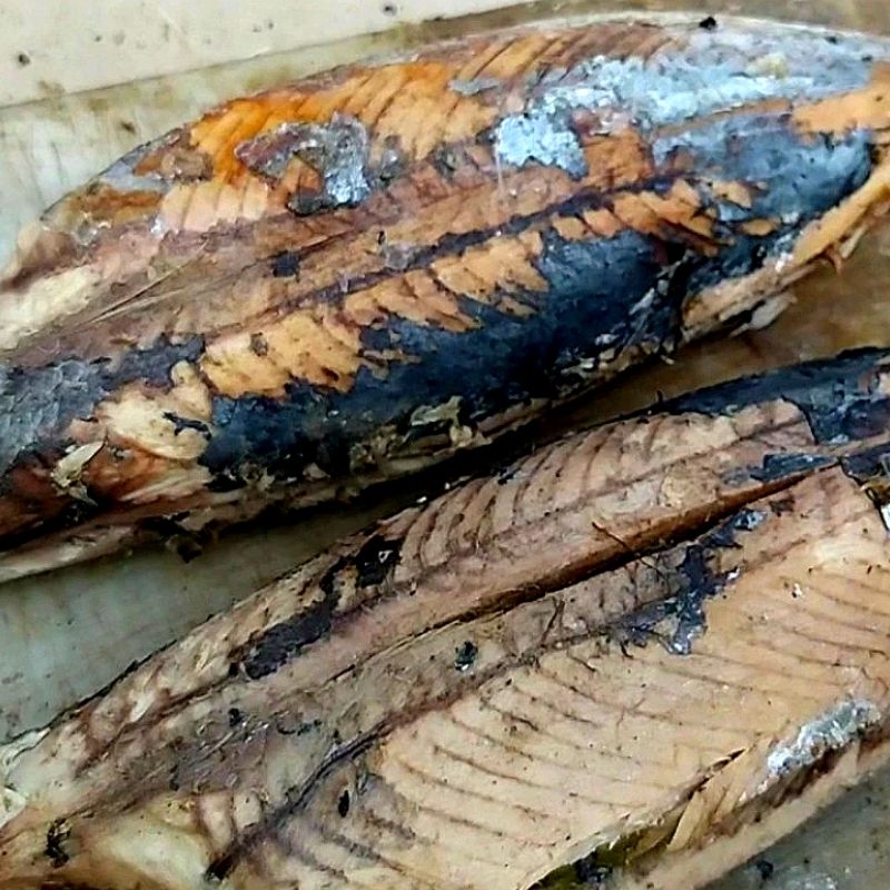 

ikan tongkal cuek paket 10 potong ukuran sedang