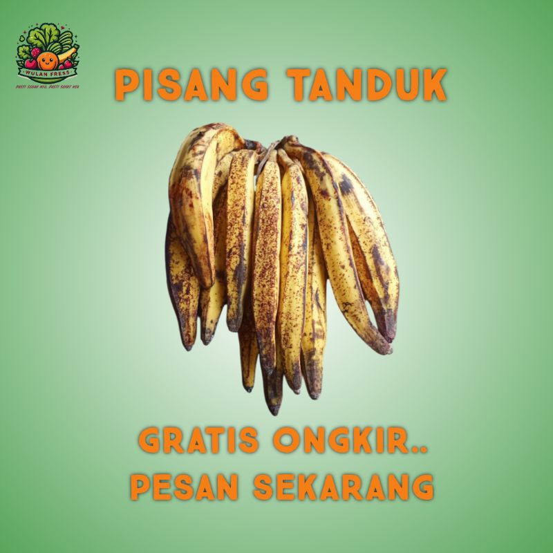 

PISANG TANDUK