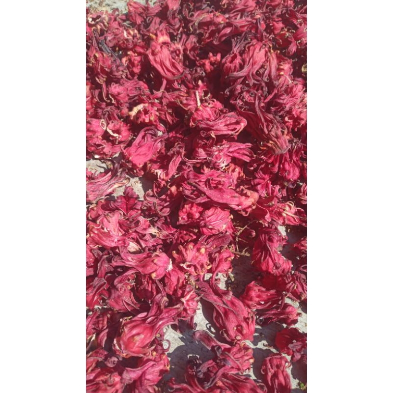

bunga rosela merah kering 1kg