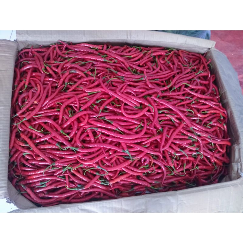 

Cabe merah Super 1kg