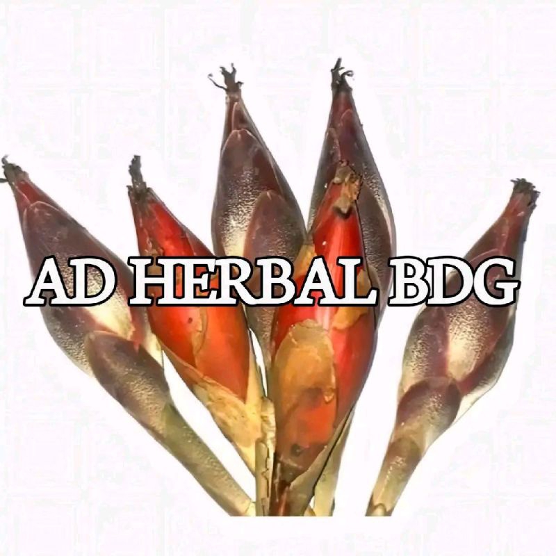 

Buah Galoba Pining Segar Isi Per 500 Gram