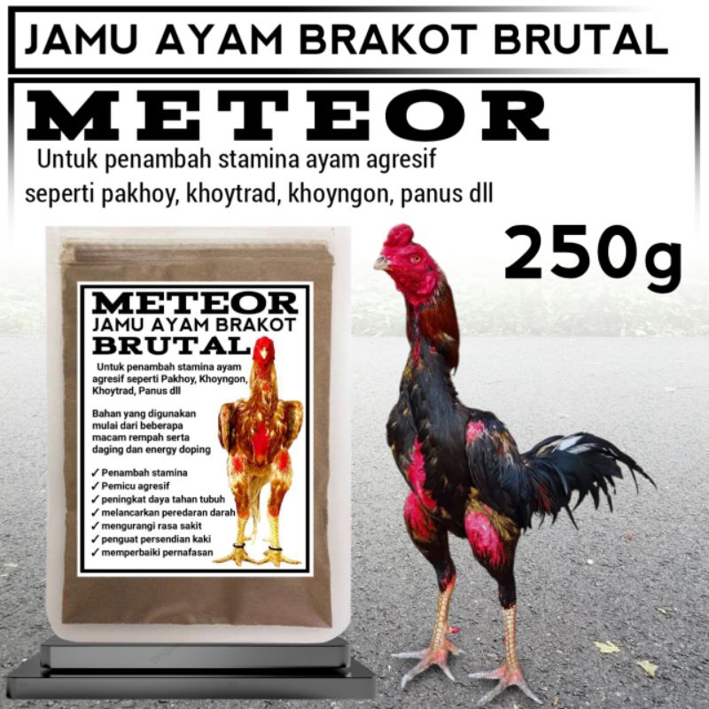 Pakan Ayam Pakhoy Drumband Bangkok Selatan