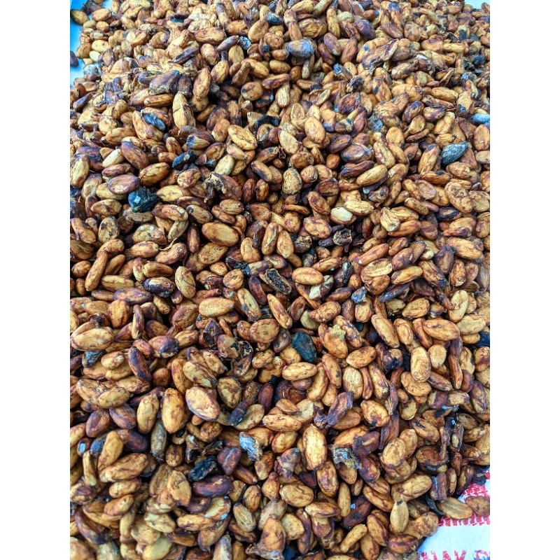 

Kakao Kering Lokal Asli – Panen Baru, Siap Olah Sendiri!