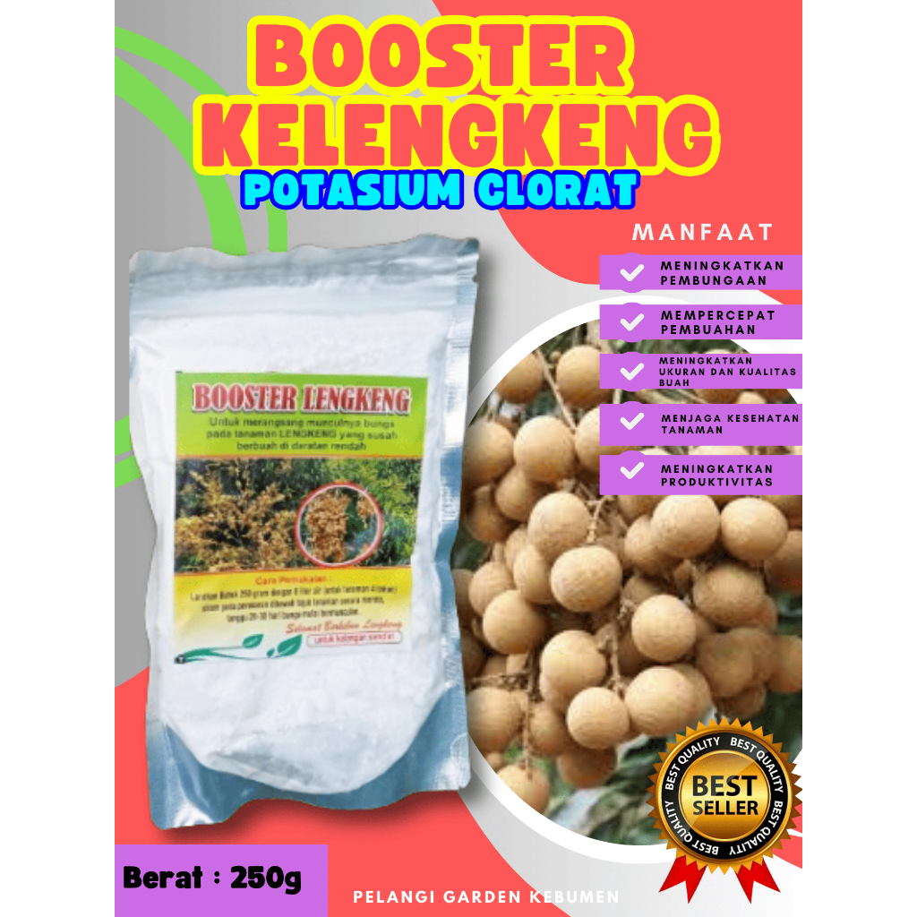 BEBAS JAMUR  Pupuk Buah Kelengkeng Kclo 3 Murni, Pupuk Buah Kelengkeng Kclo 3