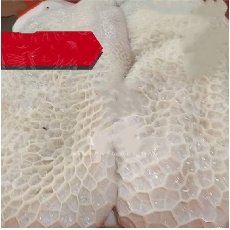 

babatsapiputih@500gram