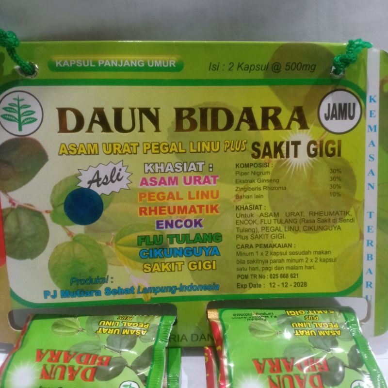 Daun Bidara kapsul asam urat 100%ori