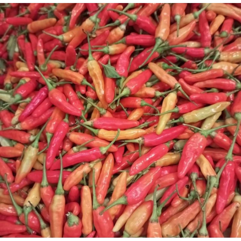 

CABE RAWIT MERAH BUMBU CABAI PEDAS kemasan 1kg