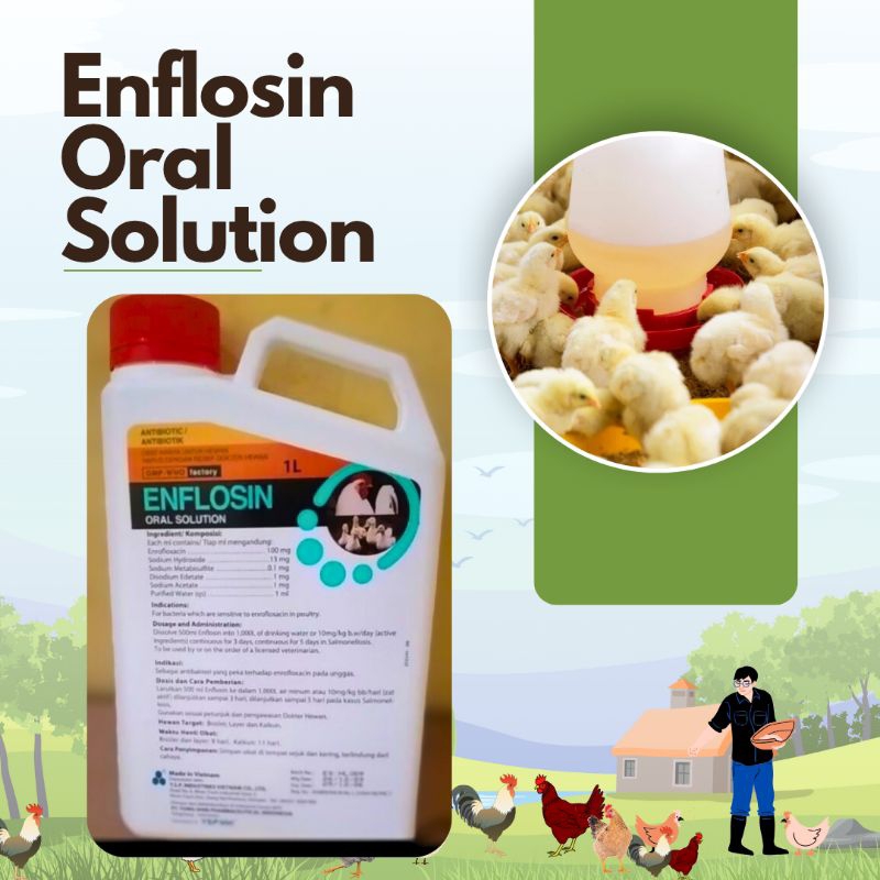 Enflosin Oral Solution 1 Liter | Enrofloxacin 10% | Antibiotik Ternak | Obat Hewan | Obat Pernafasan