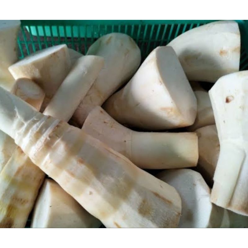 

rebung bambu/ iwung bambu 1kg fresh