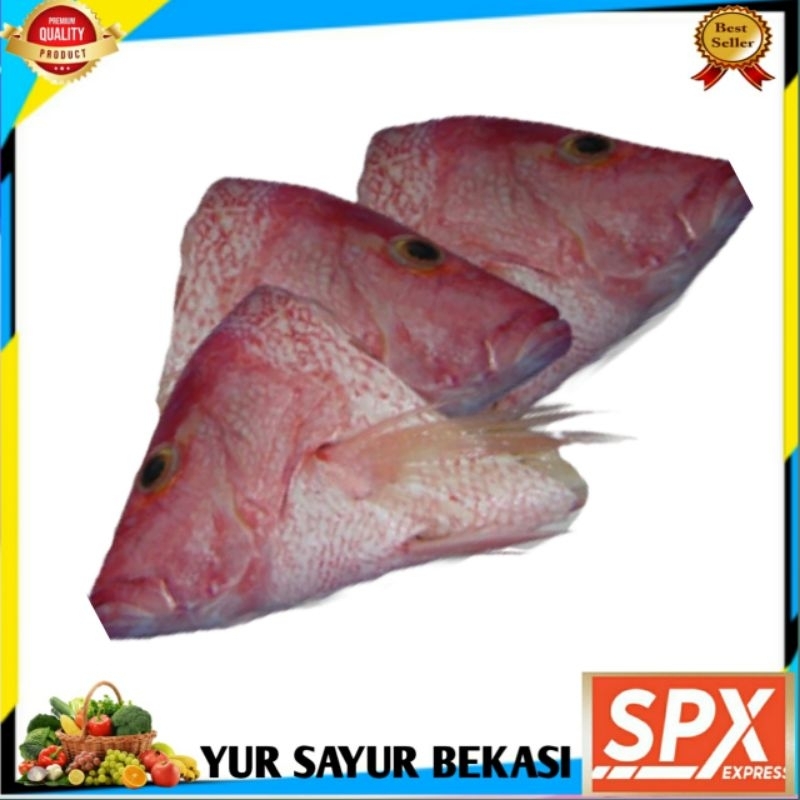 

Kepala Ikan Kakap Merah