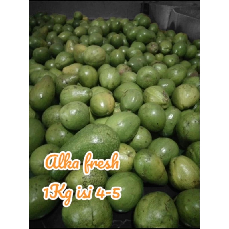 

Buah Alpukat Super Legit Kuning Tidak Berserat 1Kg