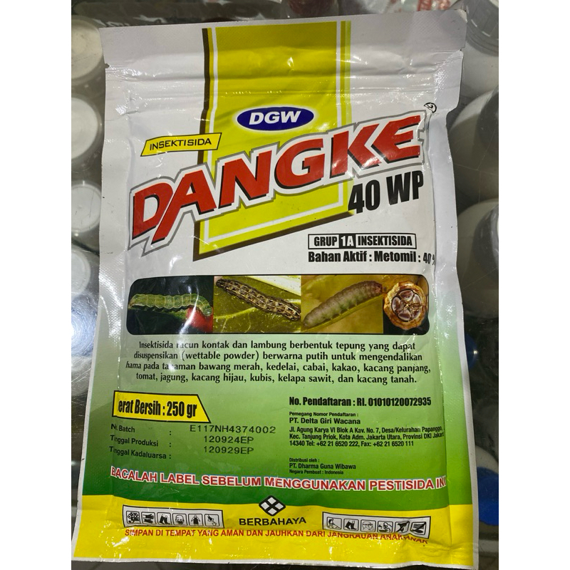 Dangke 40wp