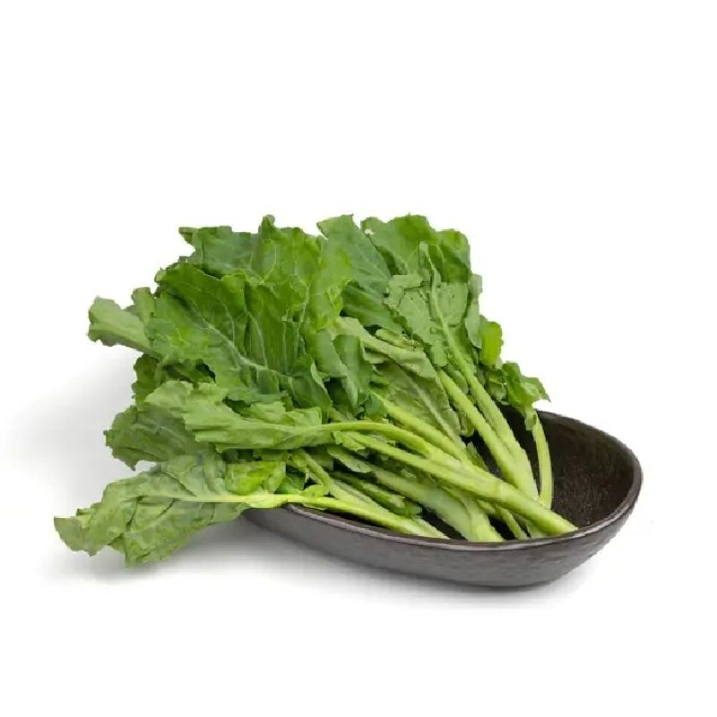 

Rumah_Sayur_Kita-baby kailan/sayur segar/sayuran segar/sayur/sayuran
