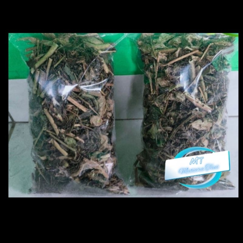 

daun kitolod / korejat kering 250grm