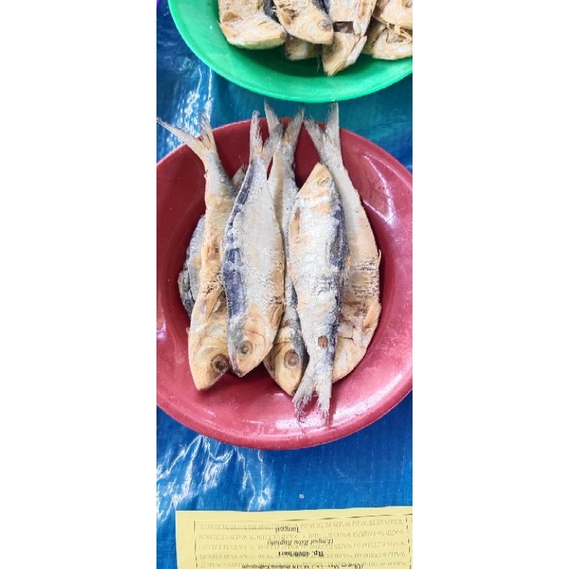

Ikan Tamban Asin