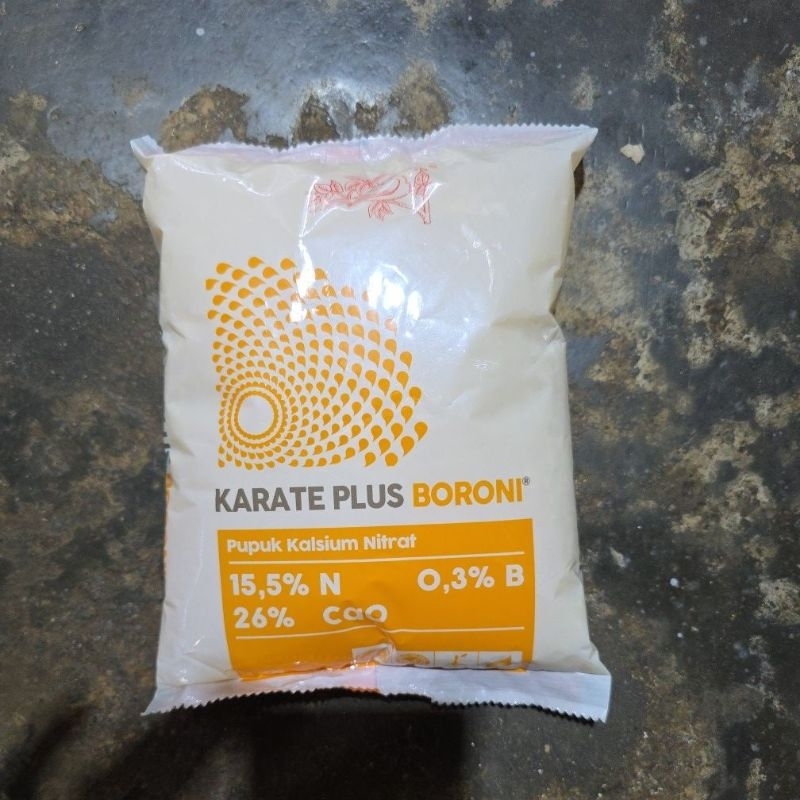 Karate Plus Boroni