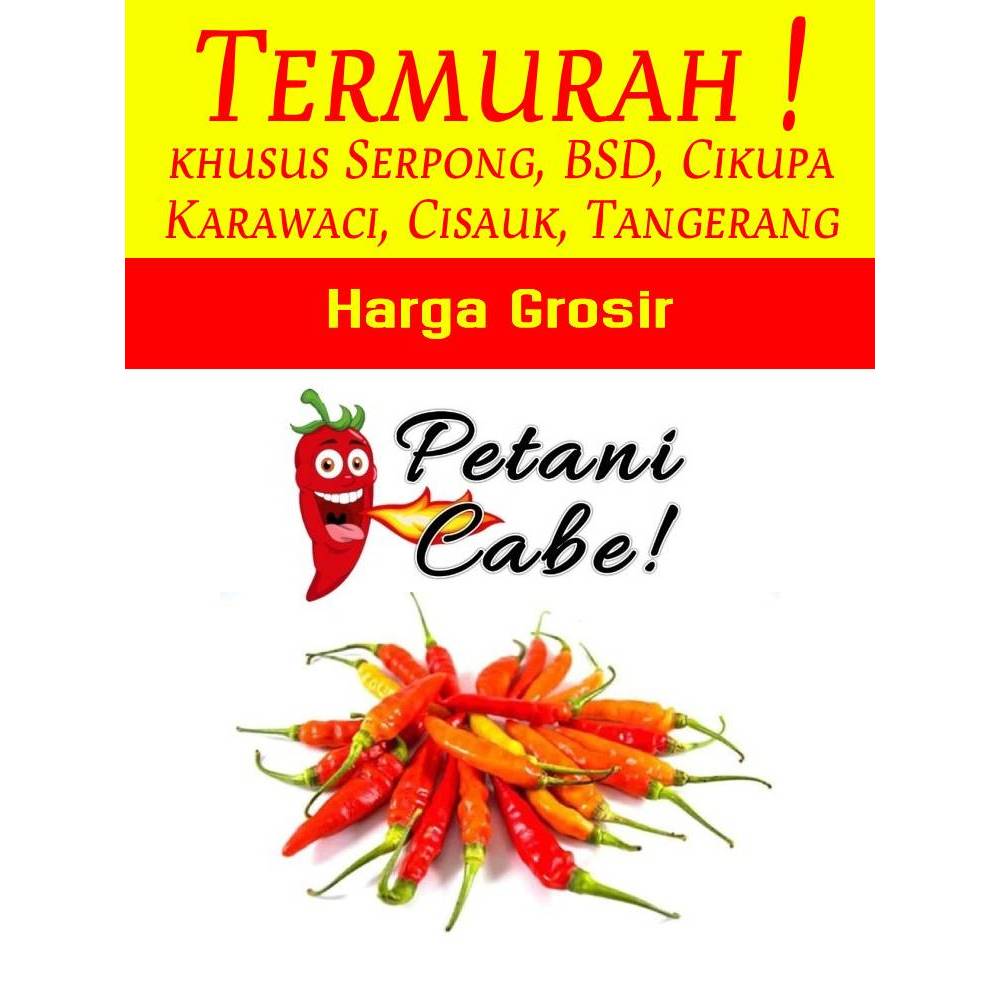 

Cabe / Cabai Merah Rawit 1 kg Harga Grosir (Petani Cabe Serpong)