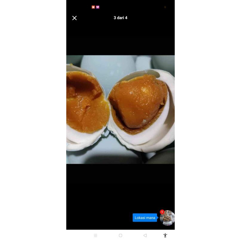 

TELUR ASIN MASIR TERMURAH