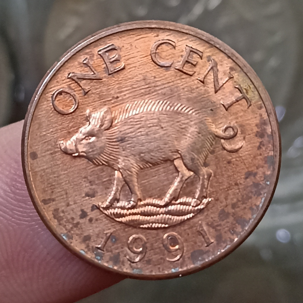 Koin Kuno Bermuda (British Overseas Territories) 1 Cent - Elizabeth II 1991