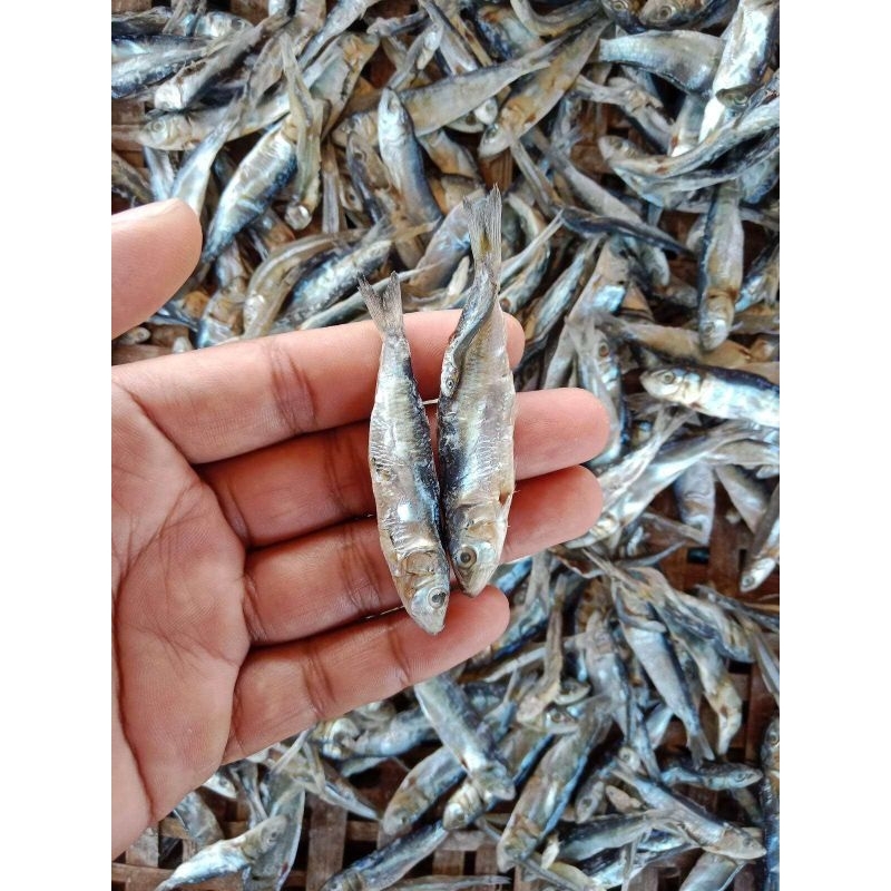 

Ikan Semenit Tawar/ Ikan Kropos 500Grm