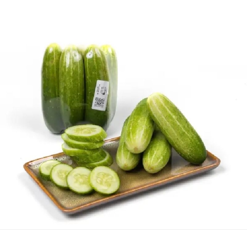 

Rumah_Sayur_Kita-timun sayur/Sayur/sayuran/Sayur segar/sayuran segar