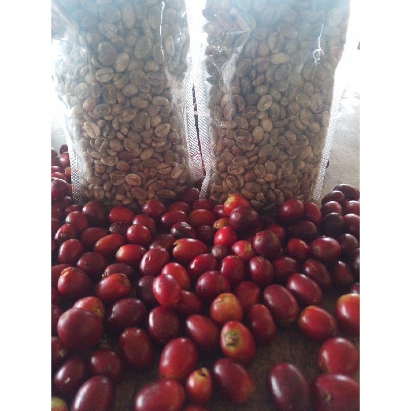 

Greenbean Arabika Singgalang