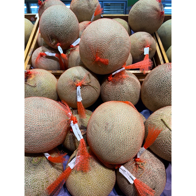 

Melon rock sweet 1,5 - 2kg
