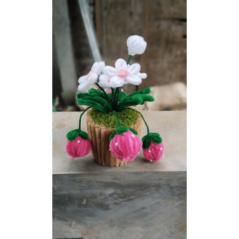 pot bunga dan buah strawberry