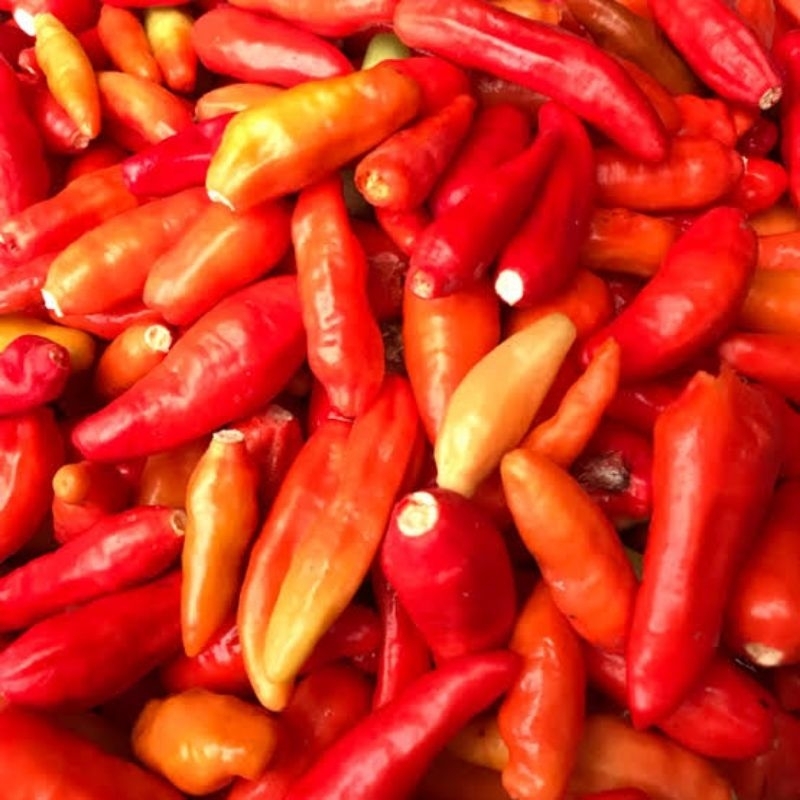 cabe rawit merah ori petik termurah 250 gr 500 gr 1 kg