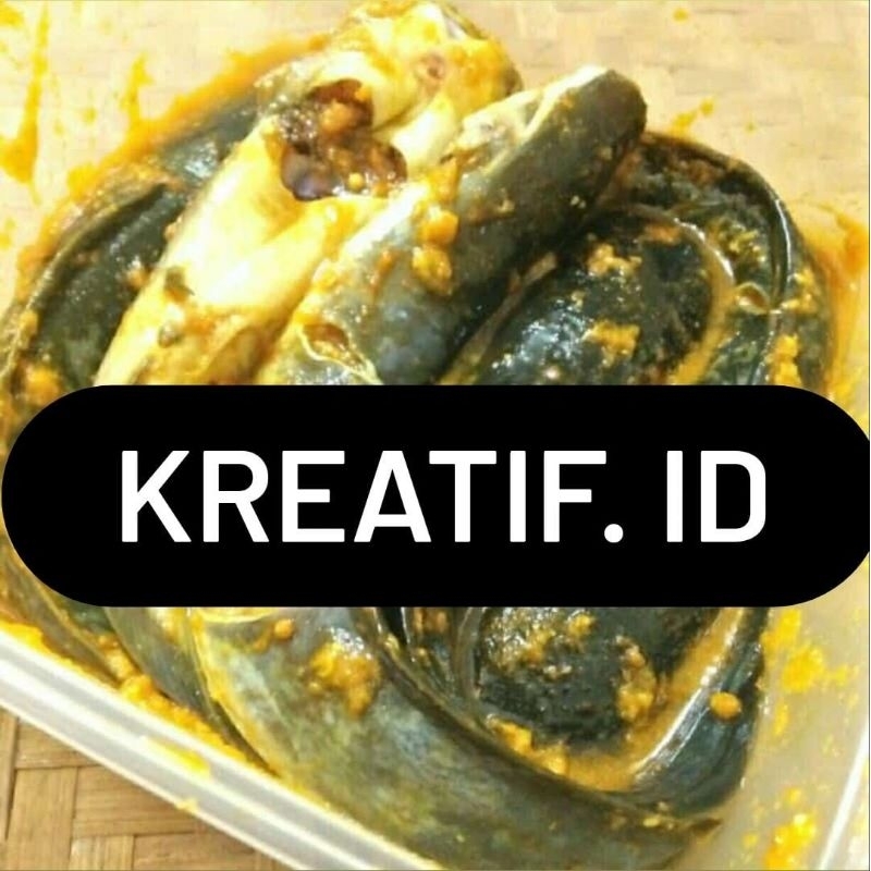 

LELE BUMBU KUNING ISI 7 EKOR