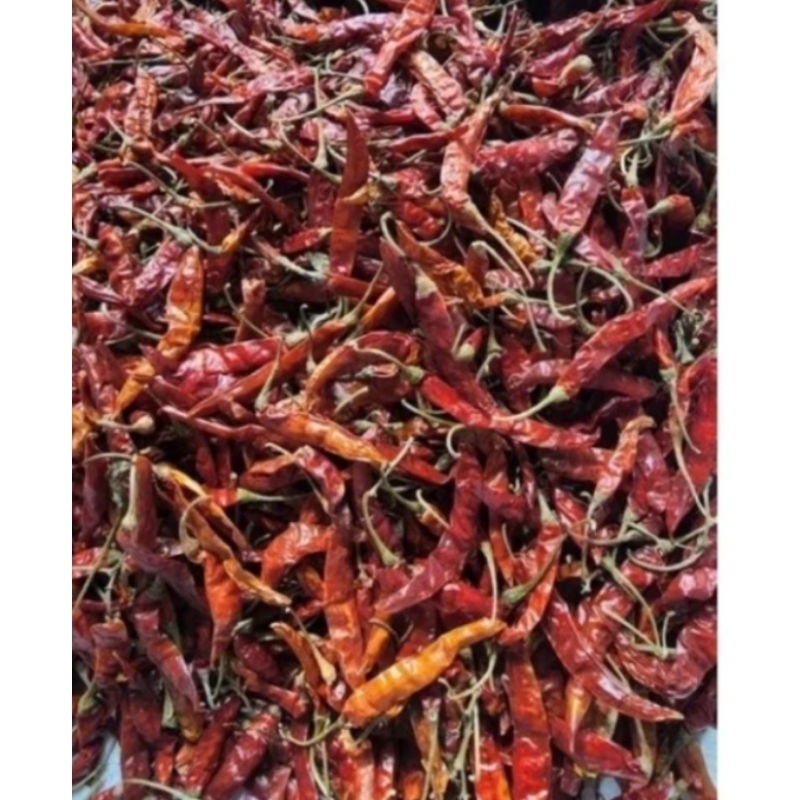 

Cabai Rawit Kering alami / Cabe Rawit Kecil Kering / Natural Dried Cayenne Pepper