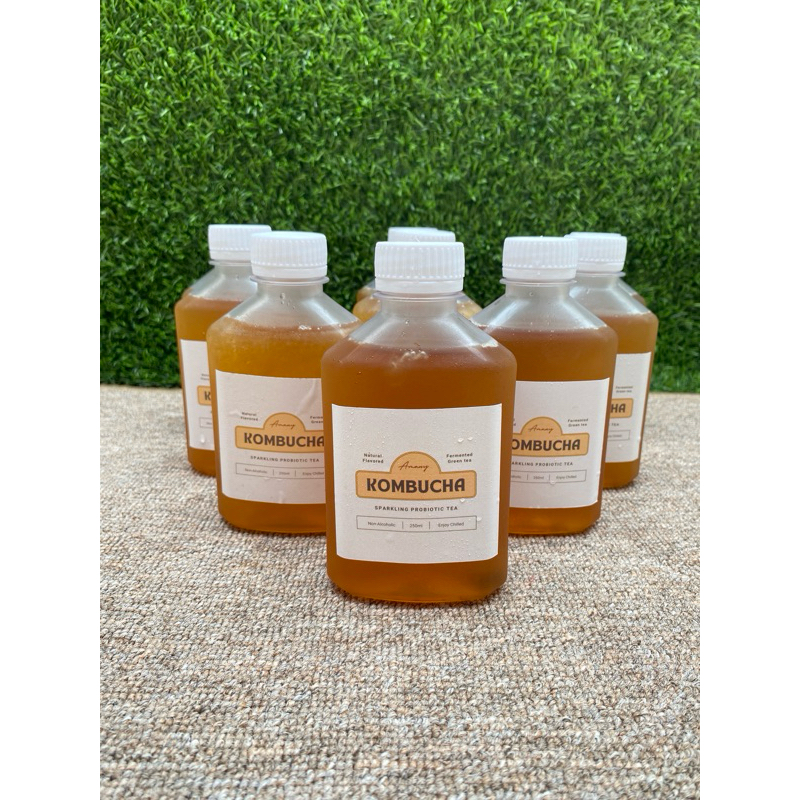 

KOMBUCHA Fermented Tea/ Probiotic Tea/ Original green tea