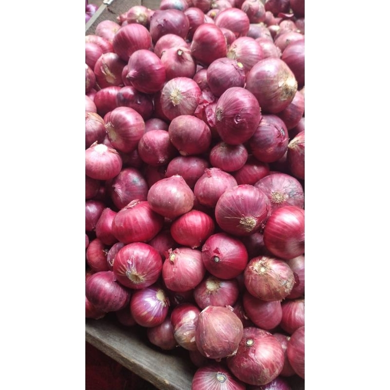 

bawang merah fresh termurah 250 gr 500 gr 1 kg
