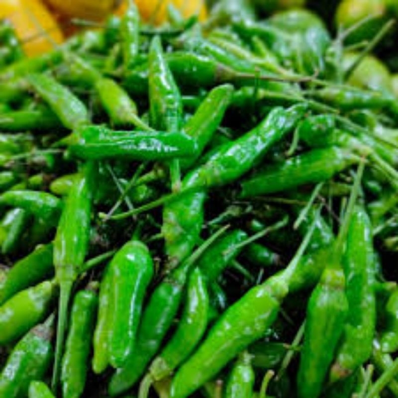 

cabe rawit hijau lokal fresh termurah 250 gr 500 gr 1 kg
