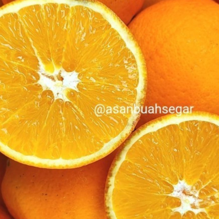 

BUAH SUNKIST NAVEL VALENCIA CARA CARA USA AUSIE MESIR - NAVEL