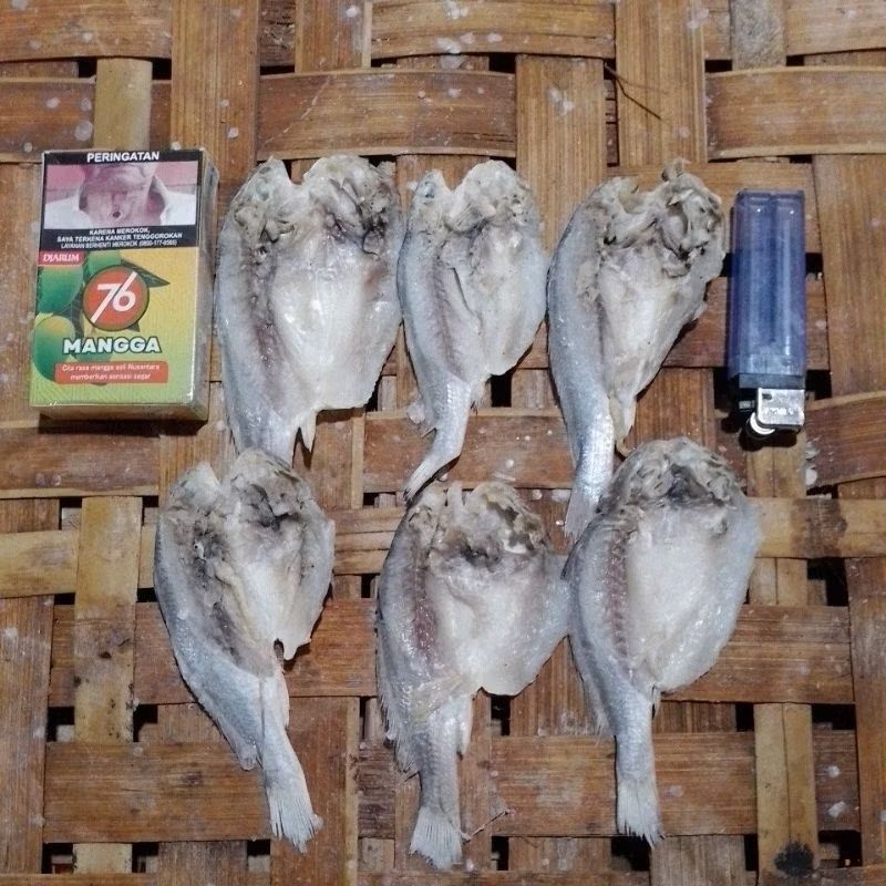

Promo.Baru.dan.fress.ikan.Gulama.dan.Belanak.500gram.dan.bonus.ikan.asin.lain.