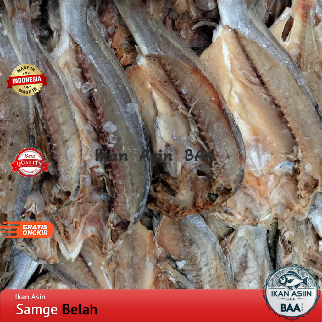 

Ikan Asin Samge Belah Super | Kepala Batu