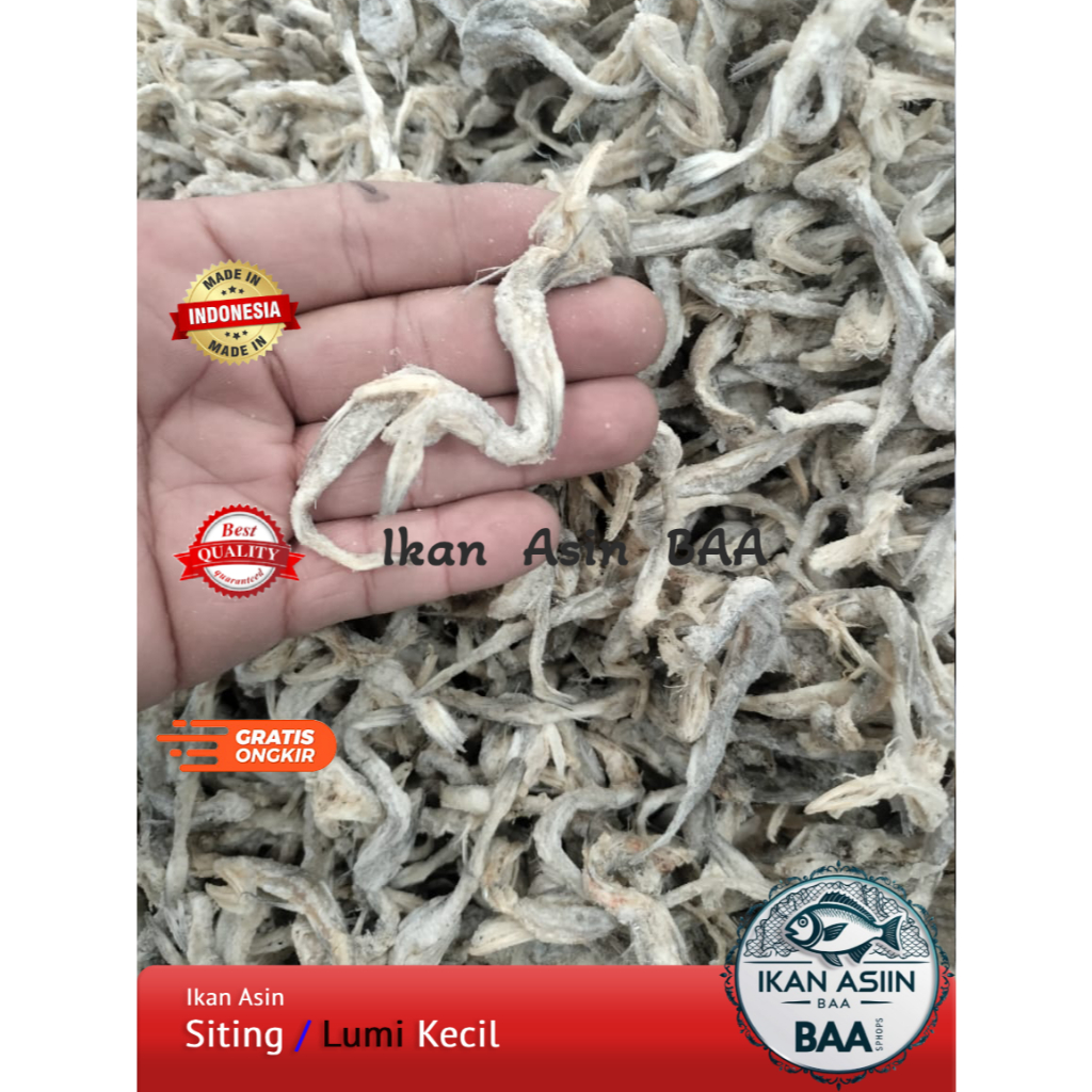 

Ikan Asin Siting Kecil | Ikan Asin Lumi Kecil | Jambrong Kecil | Usam Kecil | Siteng | Siting Kun